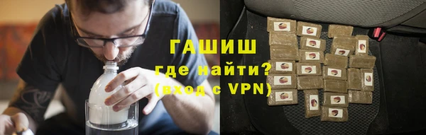 индика Белокуриха