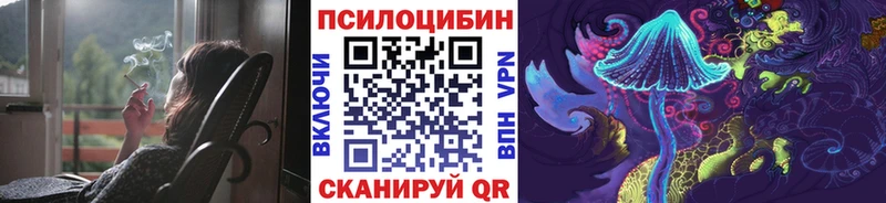 как найти   Армавир  Псилоцибиновые грибы MAGIC MUSHROOMS 